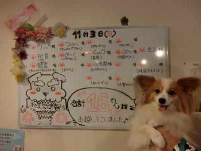 わんちゃん快適宿 下呂温泉わん泊亭 秋の3連休パピヨンみっくの犬旅 下呂温泉 岐阜県 の旅行記 ブログ By 体育会系旅行部さん フォートラベル わんちゃん快適宿 下呂温泉わん泊亭 秋の3連休パピヨンみっくの犬旅 下呂温泉 岐阜県 の旅行記 ブログ By 体育会系旅行部さん フォートラベル