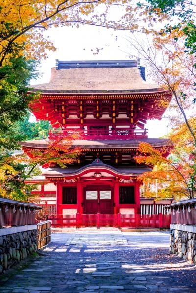 薦神社の紅葉 19 耶馬溪 中津 玖珠 大分県 の旅行記 ブログ By 気まぐれなデジカメ館さん フォートラベル