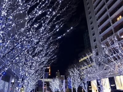 19年12月 六本木イルミネーションとクリスマスディナー 六本木 東京 の旅行記 ブログ By Wiruさん フォートラベル 19年12月 六本木イルミネーションとクリスマスディナー 六本木 東京 の旅行記 ブログ By Wiruさん フォートラベル