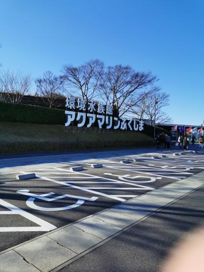 お正月のアクアマリンふくしま いわき市 福島県 の旅行記 ブログ By 神保道善さん フォートラベル