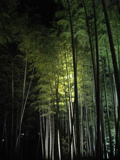 高台寺茶会 夜咄 東山 祇園 北白川 京都 の旅行記 ブログ By じゃくさん フォートラベル