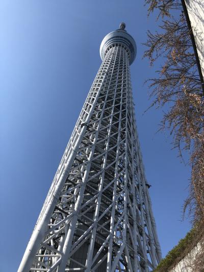 東京日帰り旅行 スカイツリー すみだ水族館 3歳子連れ 東京の旅行記 ブログ By みーさん フォートラベル