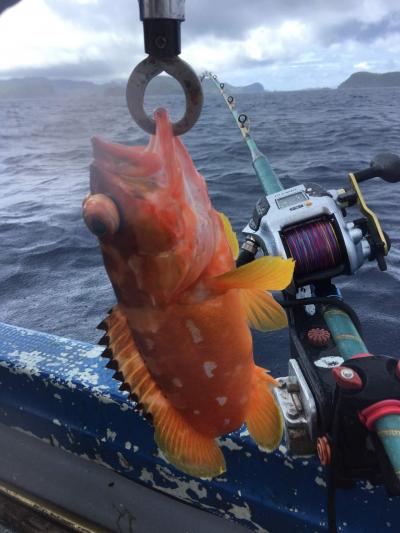 日本のガラパゴス 小笠原の旅 海釣りと宮の浜 父島 東京 の旅行記 ブログ By うずらさん フォートラベル