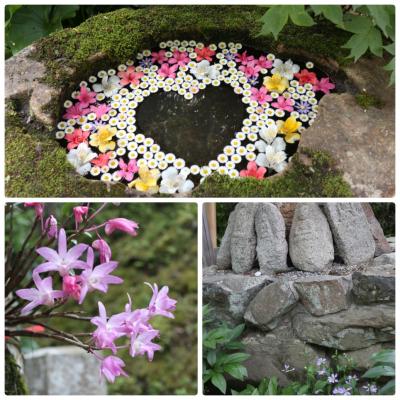 川西市 高原寺 で ちょこっと 花手水 川西 猪名川 兵庫県 の旅行記 ブログ By Yokoさん フォートラベル