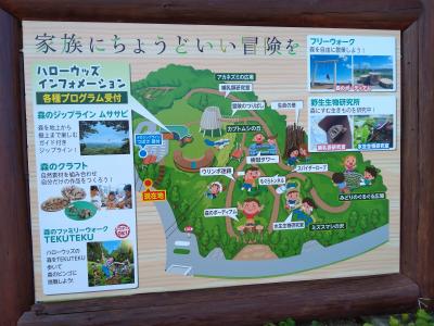 Gotoトラベルを利用して ツインリンクもてぎ へ 益子 茂木 栃木県 の旅行記 ブログ By Kokkoさん フォートラベル