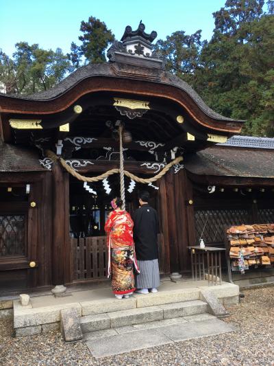 紅葉の京都へ １ 下鴨 宝ヶ池 平安神宮 京都 の旅行記 ブログ By ちゃちゃさん フォートラベル