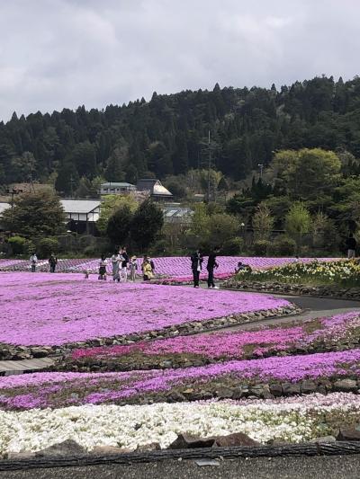 花のじゅうたんin三田 ちょっこと牡丹 三田 兵庫 兵庫県 の旅行記 ブログ By まつじゅんさん フォートラベル