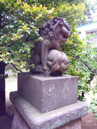 サイクリング散歩 1 狼 かわいい子獅子の狛犬に遭遇 神社巡り 方南 砧 経堂 成城 東京 の旅行記 ブログ By Tonaさん フォートラベル