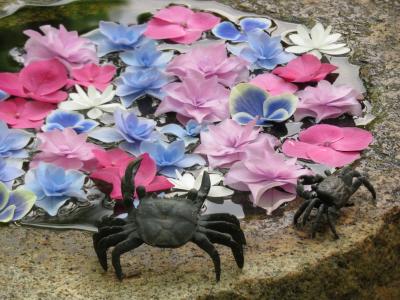 花手水求めて鎌倉へ ２０２１後編 鎌倉 神奈川県 の旅行記 ブログ By Takekoさん フォートラベル