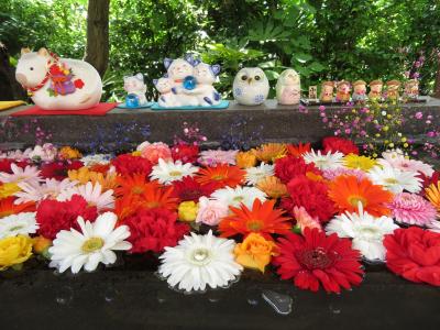 法輪寺の花手水 ２０２１ 早稲田 高田馬場 東京 の旅行記 ブログ By Takekoさん フォートラベル