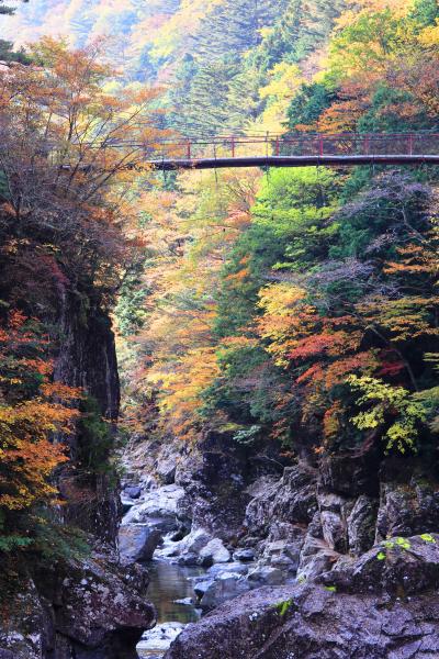 天川村の紅葉を求めて みたらい渓谷 洞川温泉 大峰山 天川 奈良県 の旅行記 ブログ By ターちゃんさん フォートラベル