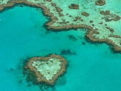 キラキラの海、可愛い動物、豊かな自然に癒やされる♪ オーストラリアで出会える天国の島