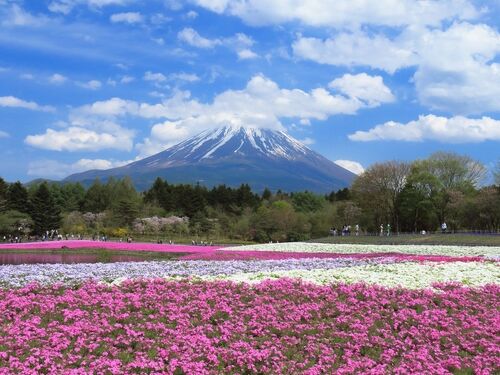 山梨県 旅行 クチコミガイド フォートラベル