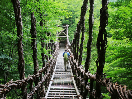 徳島県 旅行 クチコミガイド フォートラベル