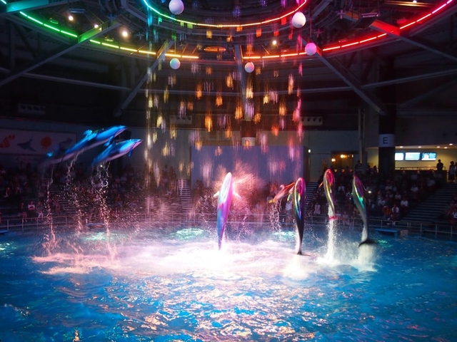 品川 大人カップルにおすすめ 水族館デートのあとに泊まりたい贅沢ホテル トラベルマガジン