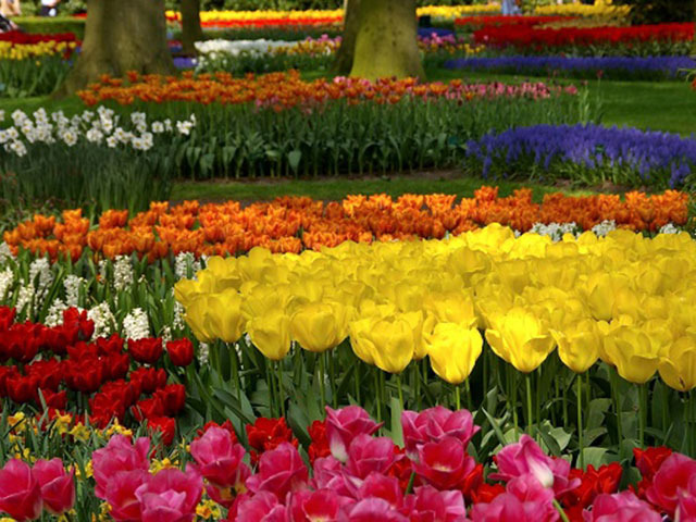特集 花と緑あふれる庭園へ 世界のガーデン10選 トラベルマガジン