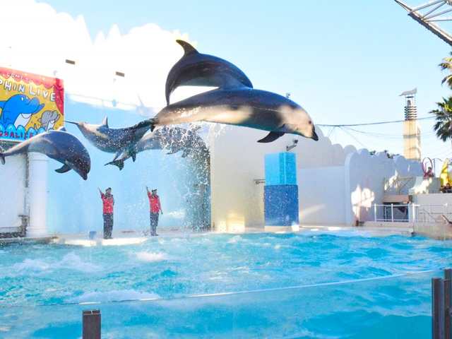3. 神戸市立須磨海浜水族園