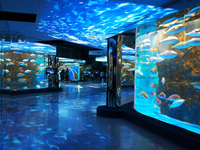 6. のとじま水族館