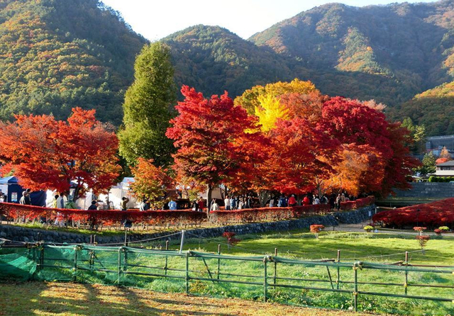 富士山の絶景を見に行こう 富士五湖 河口湖周辺おすすめスポット10選 トラベルマガジン