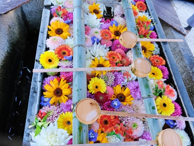 全国にあるおすすめの花手水スポット10選 神社の手水舎が華麗に変身 トラベルマガジン