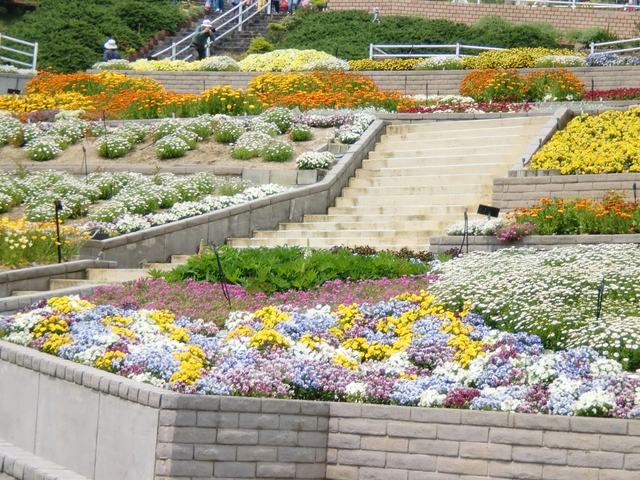 関西近郊の絶景花畑スポット 22年版 見ごろやイベントも紹介 トラベルマガジン