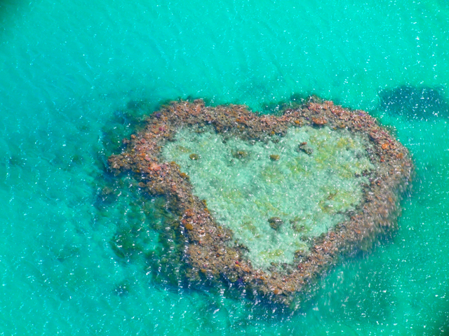 オーストラリア旅行に おすすめ観光地15選 シドニー ケアンズなど トラベルマガジン