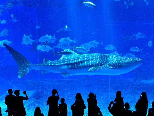 21年夏旅行 家族 学生 一人旅などシーン別おすすめ国内旅行先23選 トラベルマガジン
