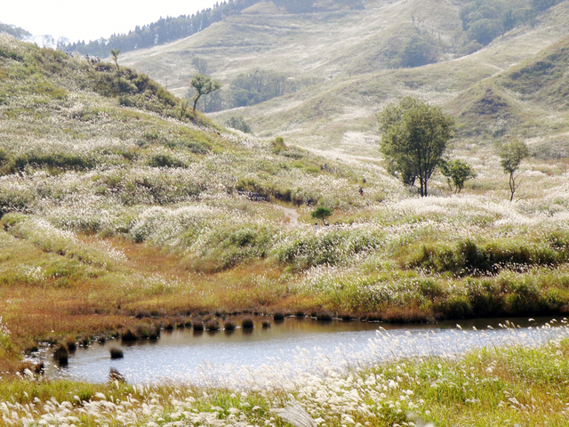 秋の関西おでかけ絶景スポット10選 デートにもおすすめ トラベルマガジン