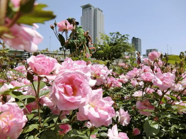 秋の関西おでかけ絶景スポット10選 デートにもおすすめ トラベルマガジン