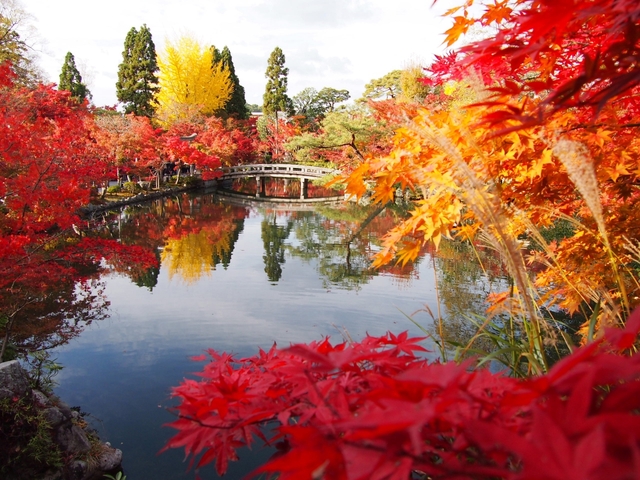 21 京都の紅葉32選 見ごろ別に紹介 ライトアップや穴場情報も トラベルマガジン