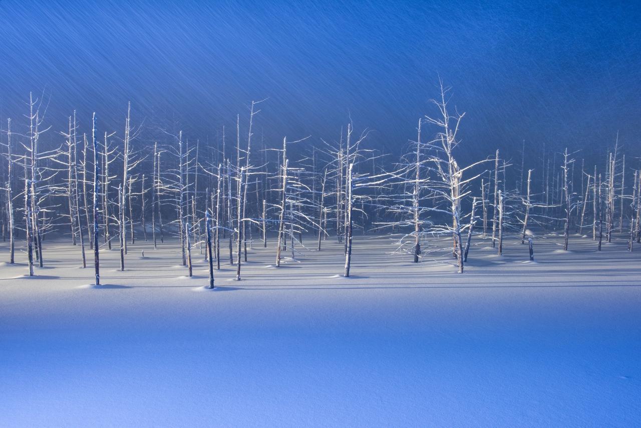美しすぎる白銀の世界 冬だから行きたい北海道の絶景スポット トラベルマガジン